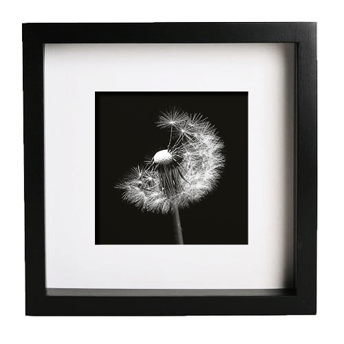 Photo-Art