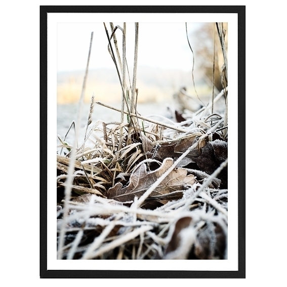 Frozen forest floor 42x52cm