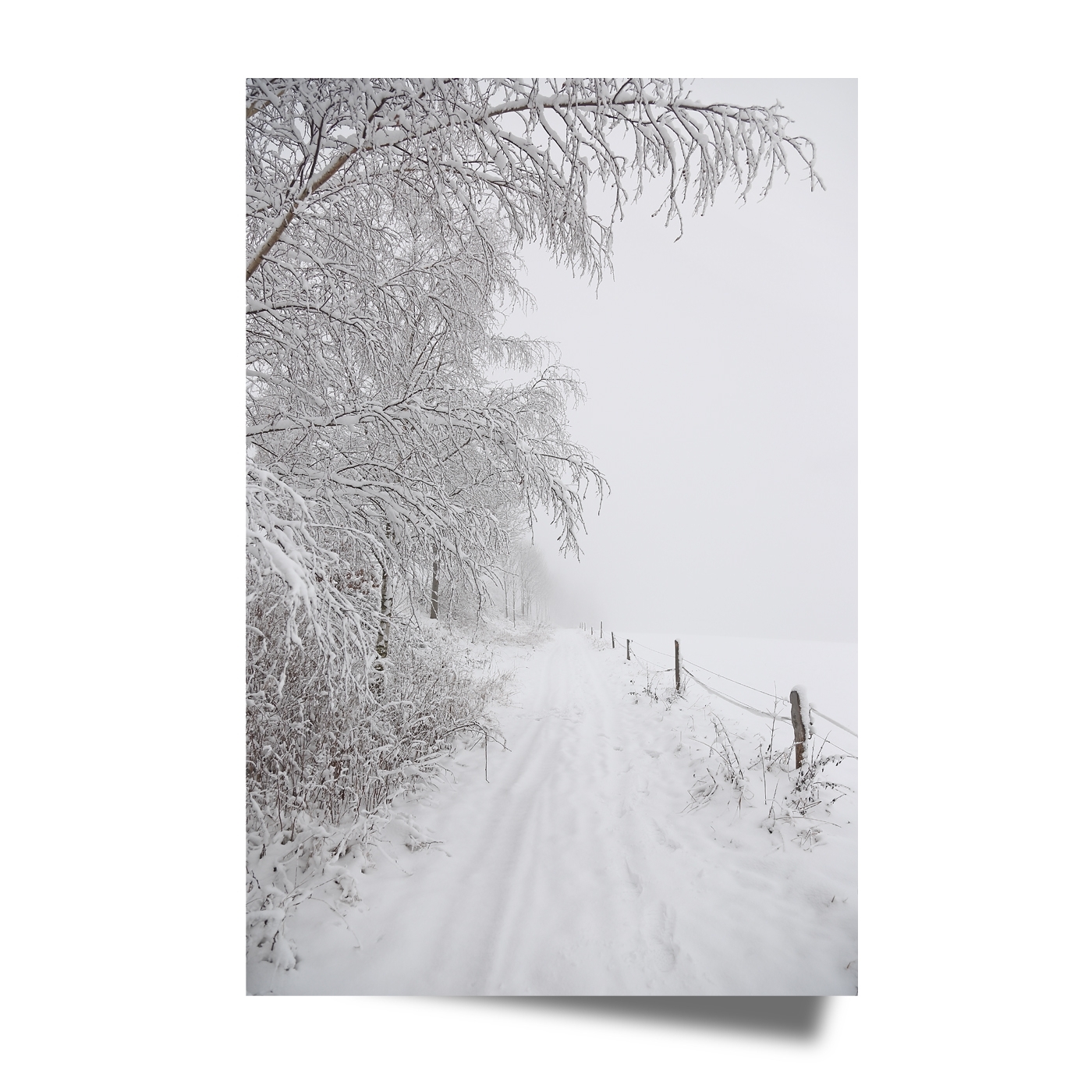 Fine Art Print Winter