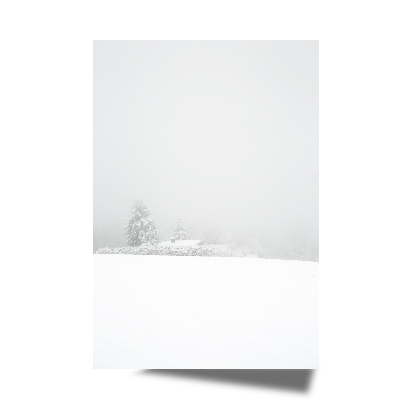 Kunstdruck